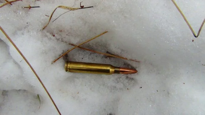 Bullet-in-Track-pic-for-blog.jpg