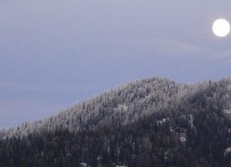 Backcountry Mule Deer Hunt: Day 5 DSC01085.JPG