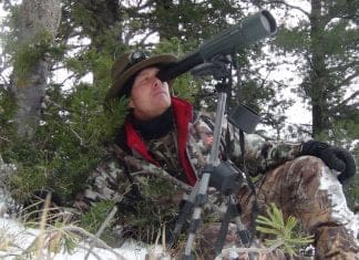 Backcountry Mule Deer Hunt: Day 4 Glassing-pic-resized-for-blog.jpg