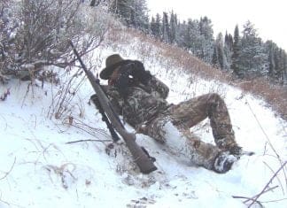 Backcountry Mule Deer Hunt: Day 3 glassing-pic-for-blog.jpg