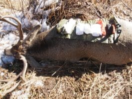 Rokslide Kill Kit APB080602 resized