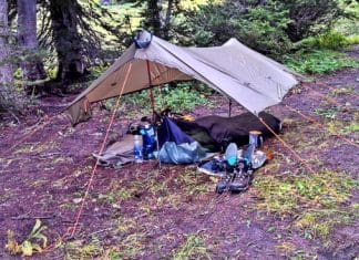 Floorless Phenomenon PIC 1E