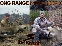 Vortex Razor HD 5-20×50