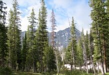 Backcountry Meat Care 3423 - Copy