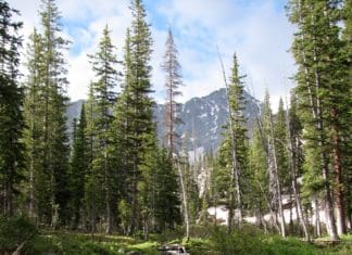 Backcountry Meat Care 3423 - Copy