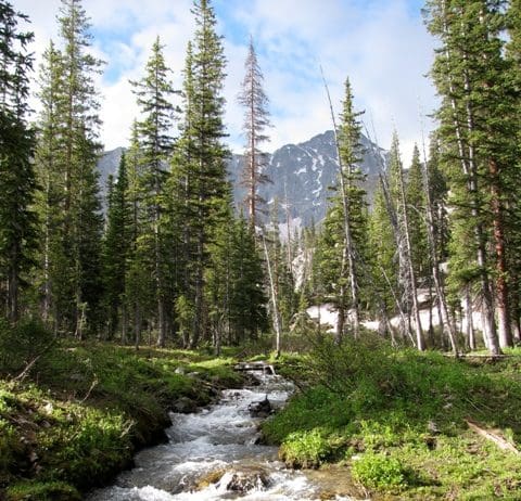 Backcountry Meat Care 3423 - Copy