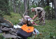 Planning a Western Elk Hunt Lead-Photo.JPG