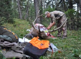 Planning a Western Elk Hunt Lead-Photo.JPG
