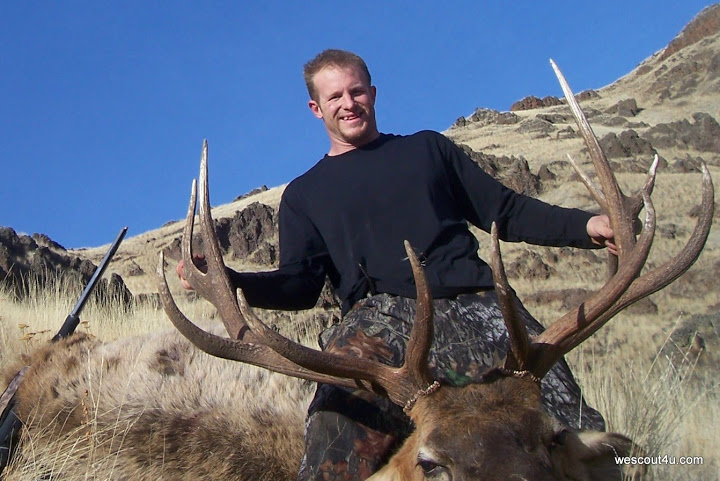 Idaho bull