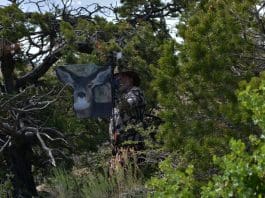 Poison Arrow Gear PA 1