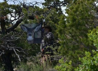 Poison Arrow Gear PA 1