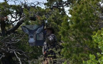 Poison Arrow Gear PA 1