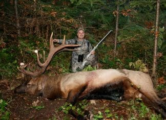 The Ultimate Backcountry Muzzleloader Petker bull