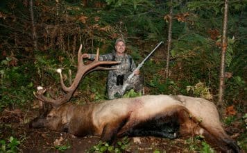 The Ultimate Backcountry Muzzleloader Petker bull