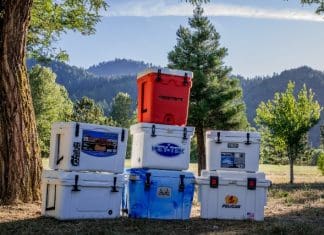 The “Big” Cooler Showdown