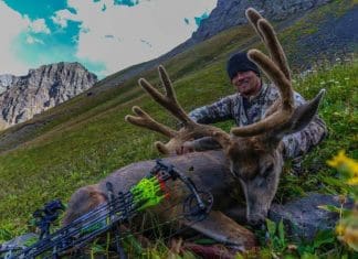 Practicing for Success Shaunsdeer