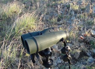 Let’s Go Scouting- Day 3 DSC00701-resized.jpg