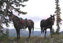 Let’s Go Scouting- Day 4 IMG_1137.JPG