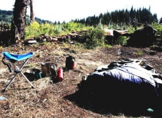 Let’s Go Scouting- Day 2 Misc-camp.jpg