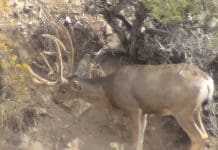 Huntin’ the Pockets- Day 1 archery-live-day-2-blog-pic.jpg