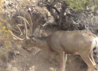 Huntin’ the Pockets- Day 1 archery-live-day-2-blog-pic.jpg