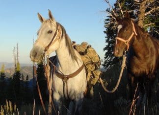 Huntin’ The Pockets- Day 8 DSC01266-resized.jpg