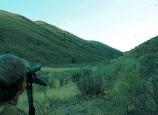 Huntin’ the Pockets- Day 3 Kaibab-long-distance.jpg