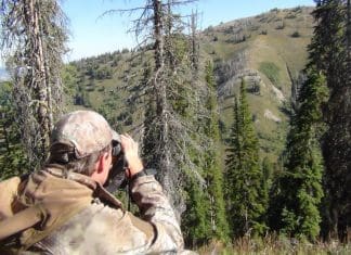 Huntin’ The Pockets- Day 7 glassing-1-resized-for-blog.jpg