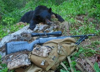 NIGHTFORCE SHV 4-14X MOA1000 justing Bear and Rifle