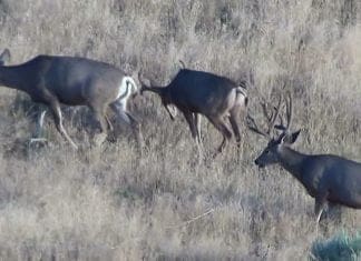 Huntin’ the Pockets- Day 4 possible-blog-pic2-day-2.jpg