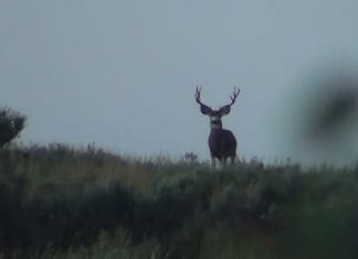 Huntin’ The Pockets- Day 17-19 201509280616522.jpg