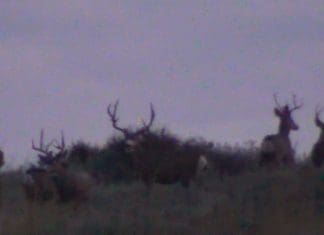 Huntin’ The Pockets- Day 13-16 Big-3.jpg