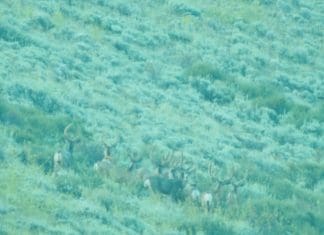 Huntin’ The Pockets- Day 11-12 Brokenheart-II-resized.jpg