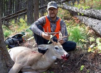 Sitka Core Lightweight Hoody sitka3