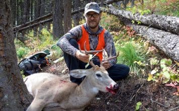 Sitka Core Lightweight Hoody sitka3