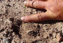 Huntin’ The Pockets- Days 21-23 DSC00871_20151110-160702_1.JPG