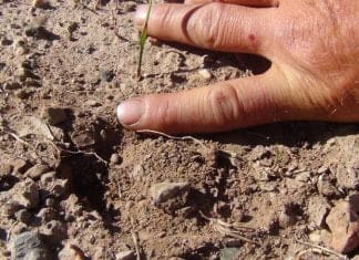 Huntin’ The Pockets- Days 21-23 DSC00871_20151110-160702_1.JPG