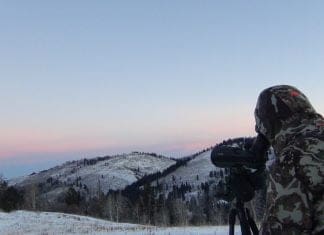 Hunting the Rut & Migration: Day 3 Glassing-Swaro-Scope-resized.jpg