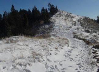 Hunting the Rut & Migration: Day 8 Migration-tracks-resized.jpg