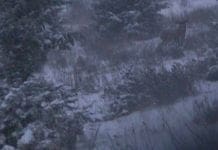 Hunting the Rut & Migration: Day 2 (and Win a Killer Vortex scope!) Still-hunting-resized.jpg