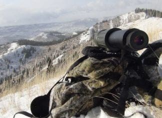 Hunting the Rut & Migration: Day 7 Swarovski-CTC-resized.jpg