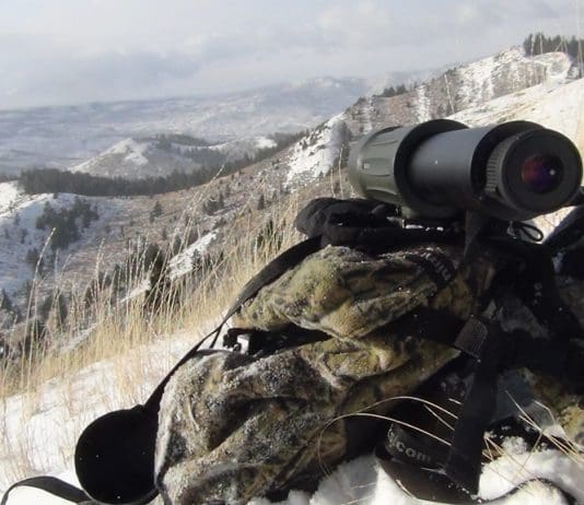 Hunting the Rut & Migration: Day 7 Swarovski-CTC-resized.jpg