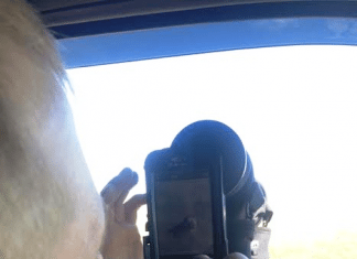 Phone Skope Review 2