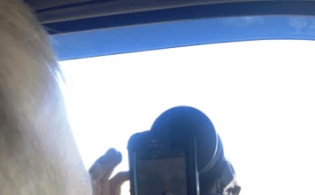 Phone Skope Review 2