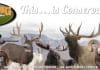 Follow Us at WHC Expo & Book Signing in Salt Lake Hunt-Expo-2016-Header.jpg