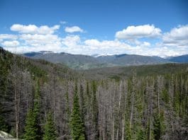 OTC Scouting with Sitka Gear scouting5