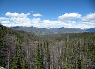 OTC Scouting with Sitka Gear scouting5