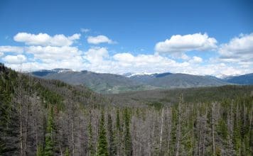 OTC Scouting with Sitka Gear scouting5