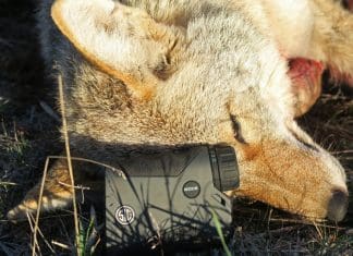 SIG SAUER KILO2000 Rangefinder Review 01 Article cover resized to 800