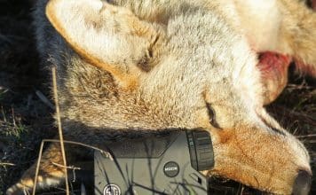 SIG SAUER KILO2000 Rangefinder Review 01 Article cover resized to 800